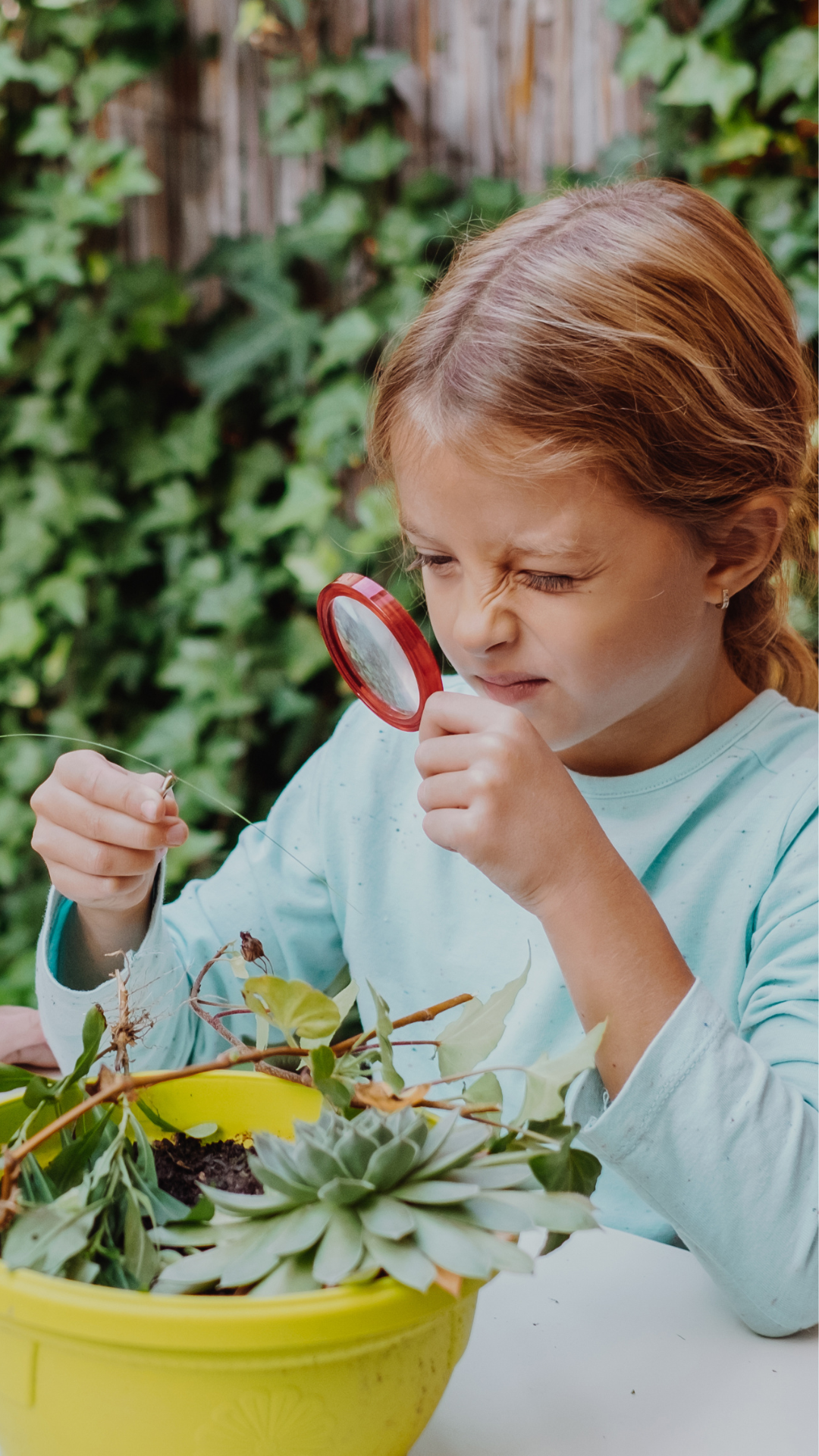 Comment grandir scientifiquement [17 études]