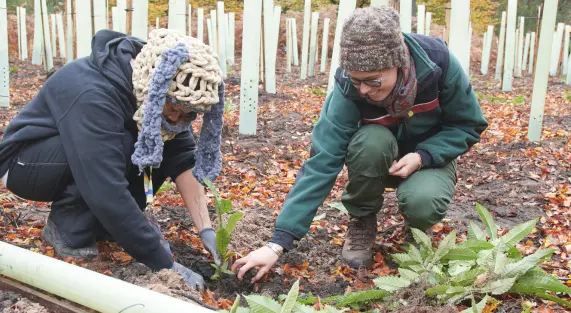 Forêt de demain II : tes arbres pour le futur !