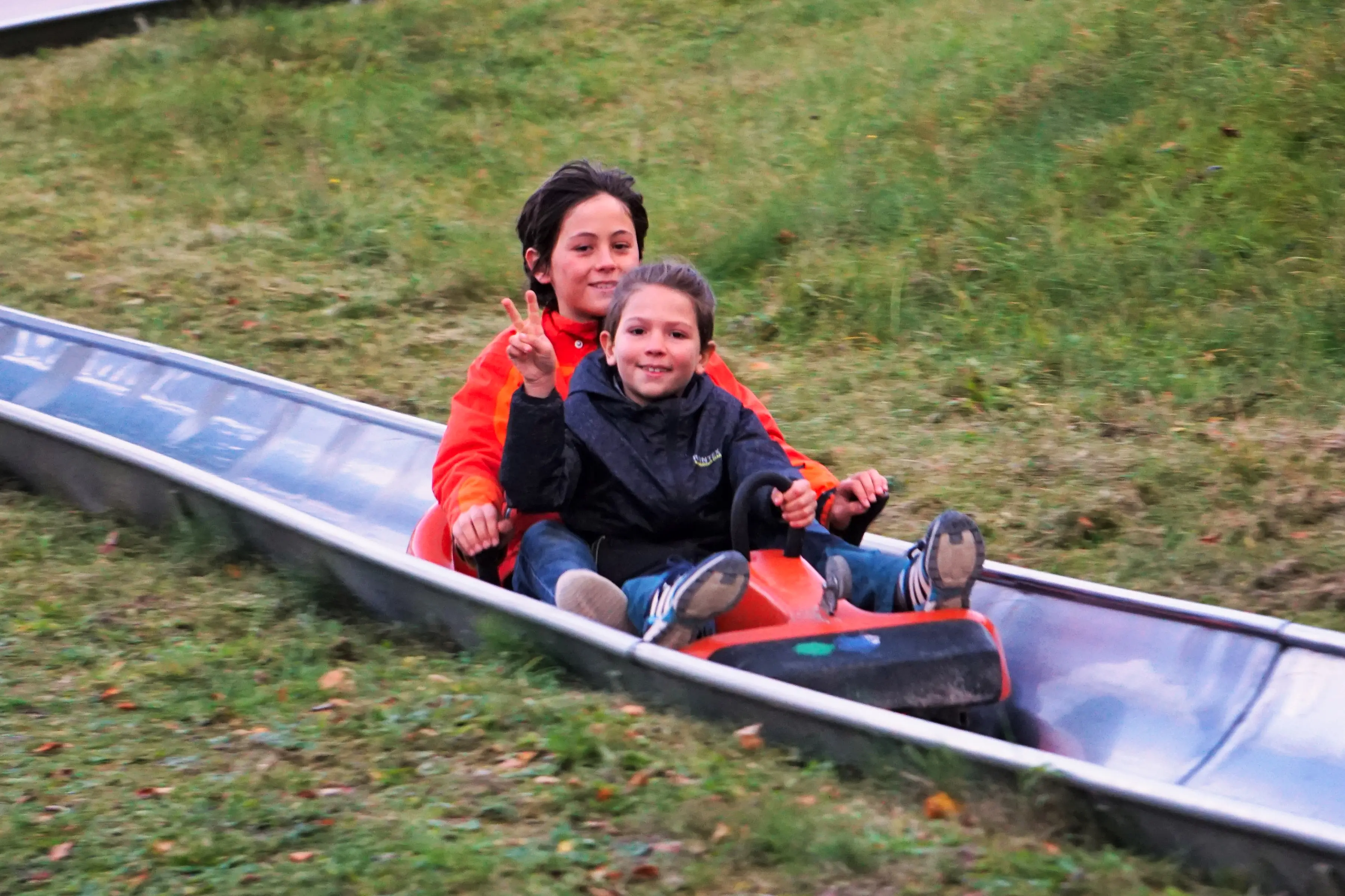 Piste de luge d'été