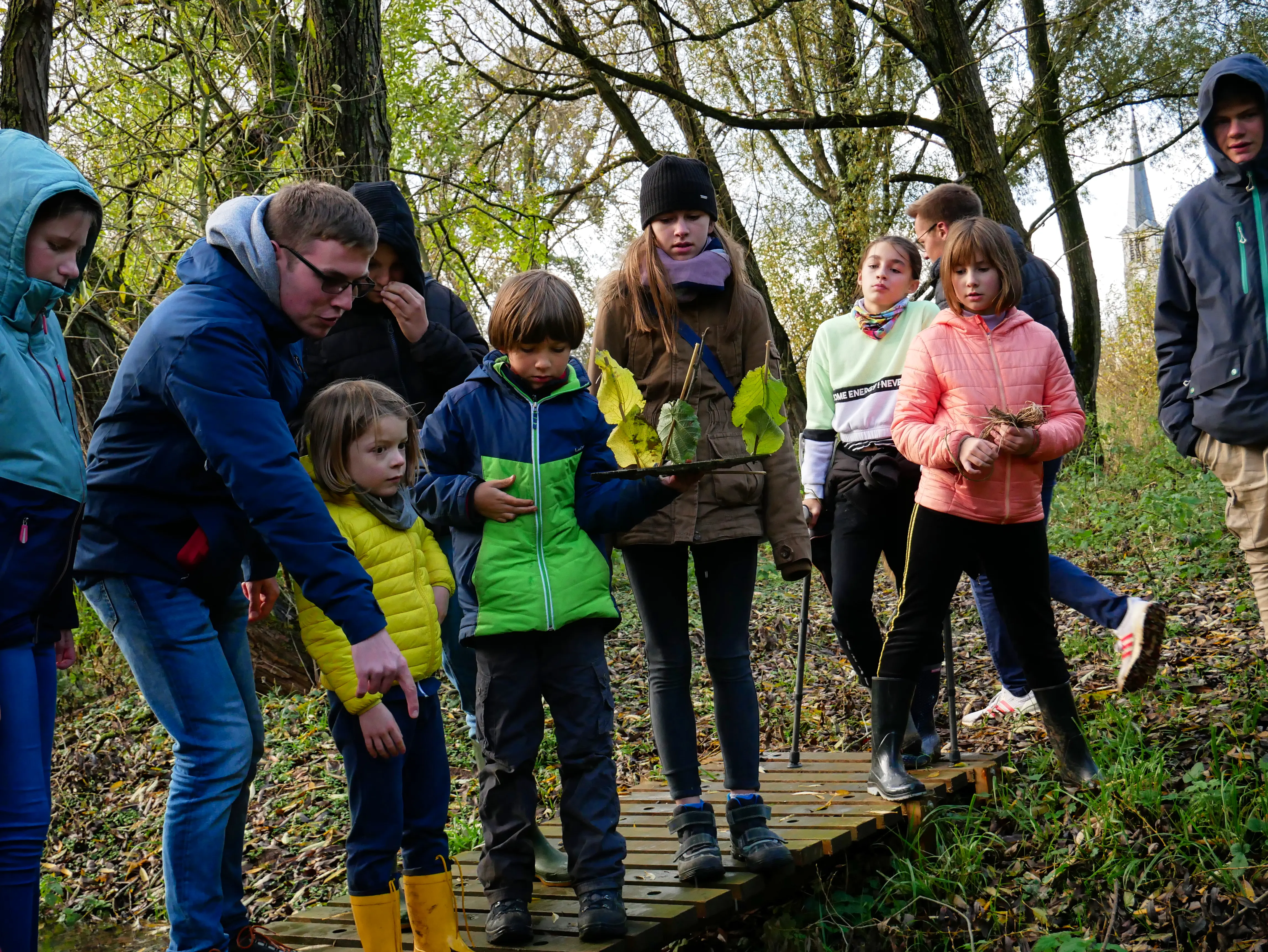 Exploration de la nature en Lorraine