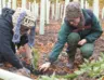 Forêt de demain II : tes arbres pour le futur !