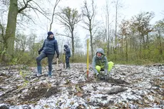 Waldaktion II - les jeunes plantent des arbres